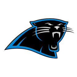 Carolina Panthers Sports Decor